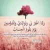 shimaa_e